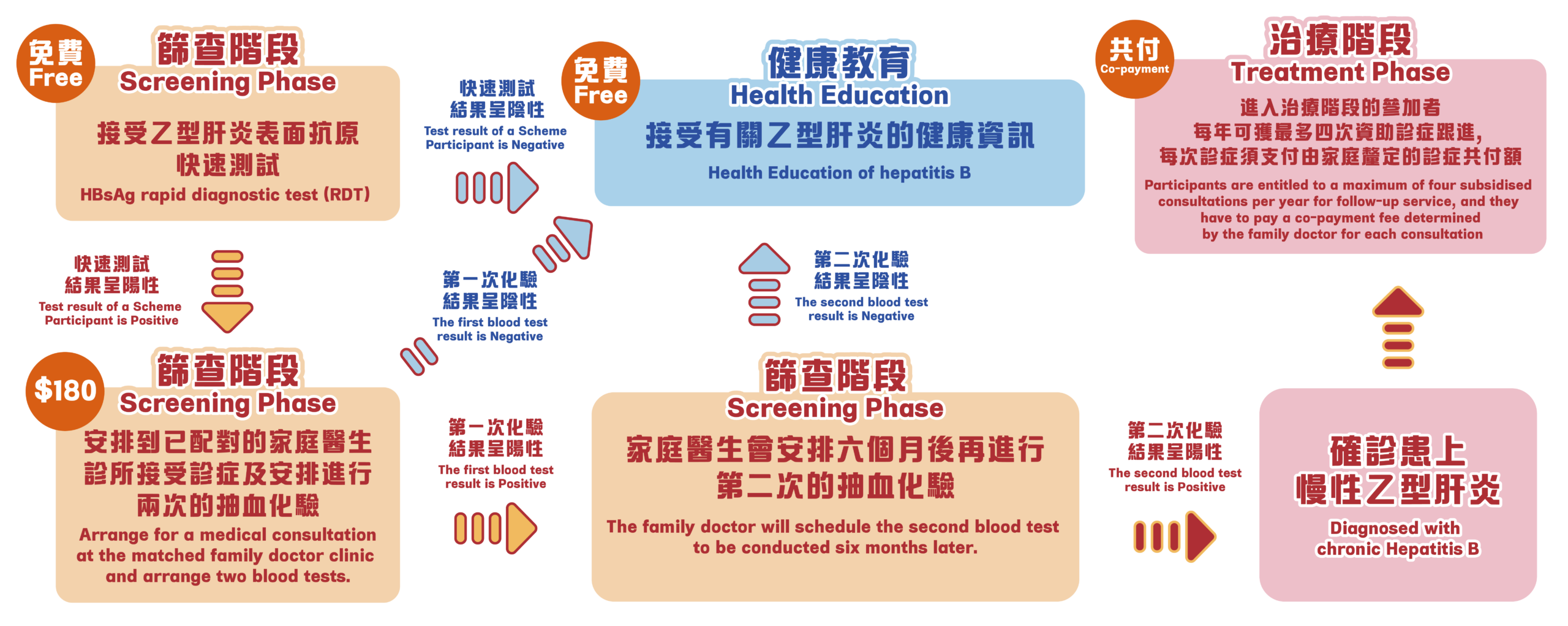 乙型肝炎共同治理計劃